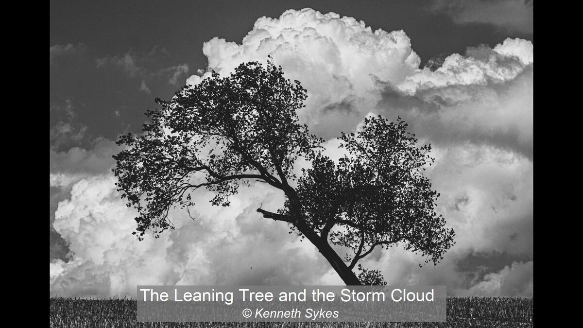 The Leaning Tree and the Storm Cloud